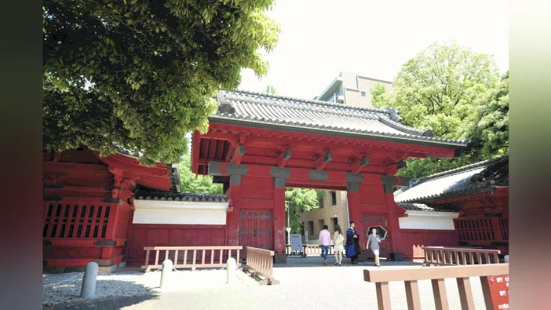東京大学